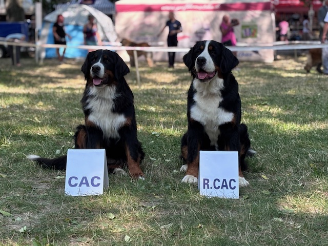 LARA a DASHIE Duodanube 16.8.2025