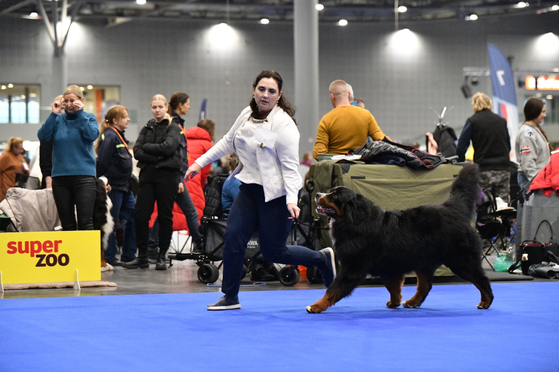 DUOCACIB LORD 24 měsíců