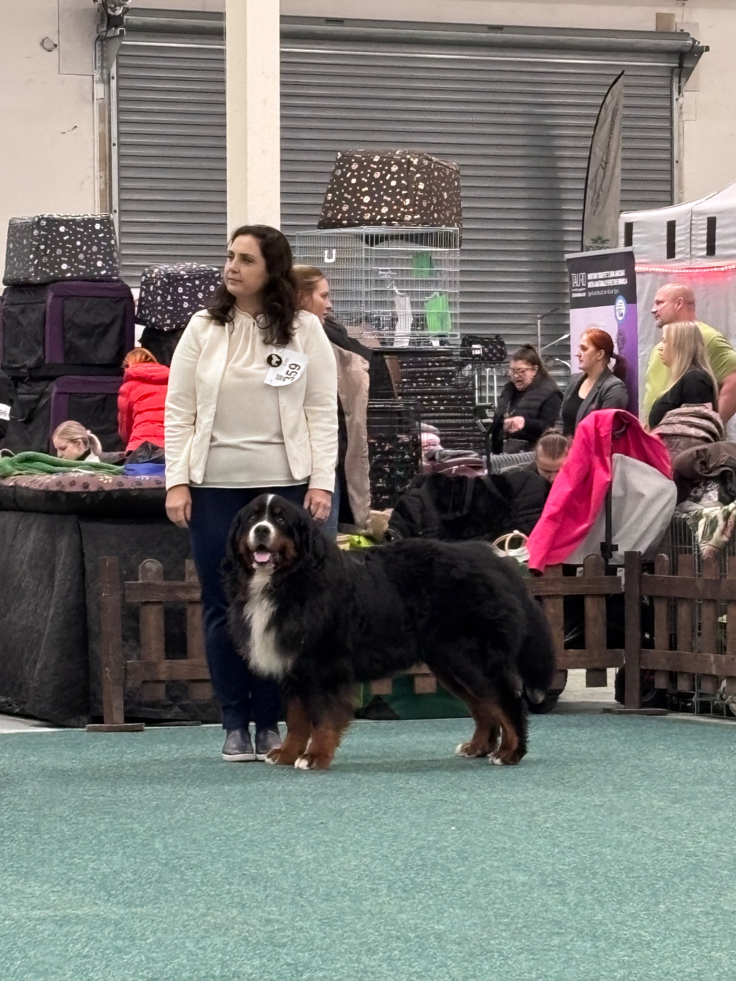 LORD NITRADOG 26 měsíců