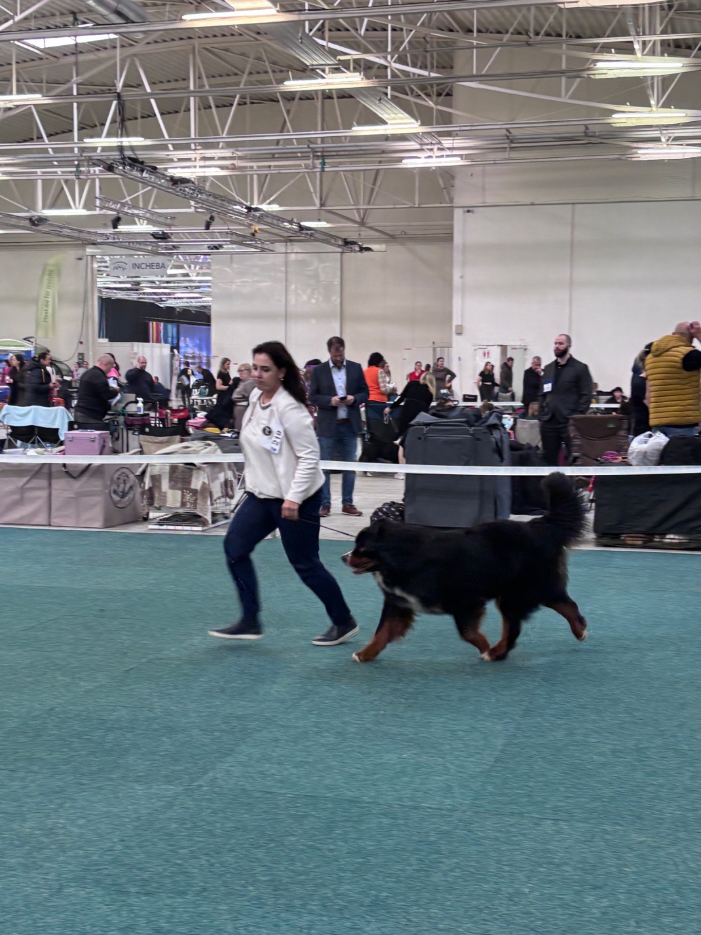 BRATISLAVA 27.2.2026